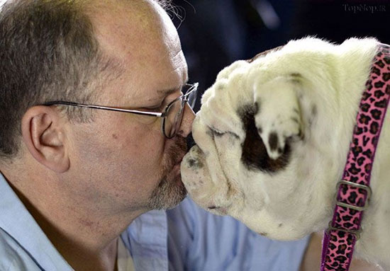 عکس: نمایشگاه سگ های زینتی آمریکا