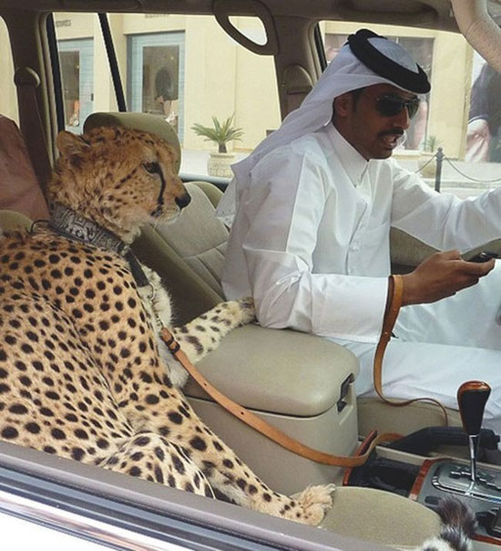 جاذبه های توریستی که فقط در دبی می بینید