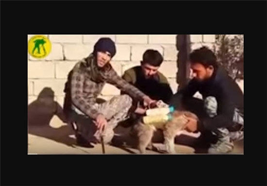 استفاده تروریستی داعش از سگ ها و پرندگان