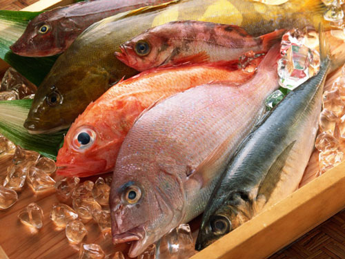 6 غذای قلب؛ از ماهی تا اسفناج