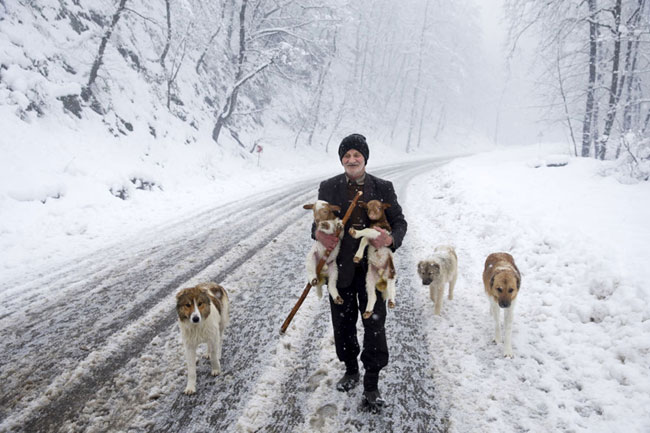 تصاویر خبرگزاری روس از زمستان تالش