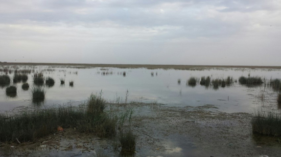 به زبان ساده؛ خوزستان چگونه خشک شد؟