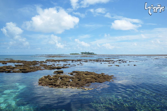 جزایری که تا ۸۰ سال دیگر ناپدید می‌شوند