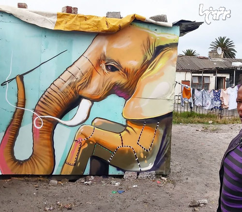 عکس: فیل در خیابان های آفریقای جنوبی!