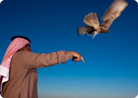 پرنده‌های چندمیلیارد تومانی ایران +عکس