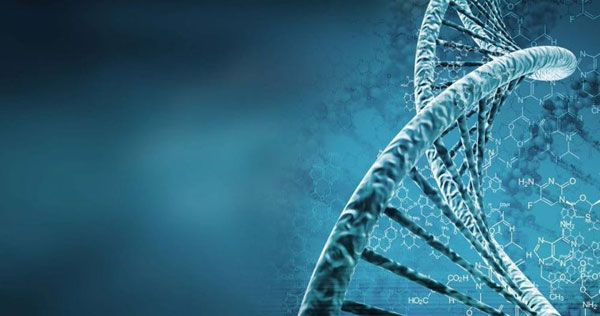 منتظر کامپیوترهای نسل جدید DNA باشید