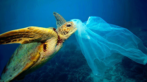 غلبه بر آلودگی پلاستیک