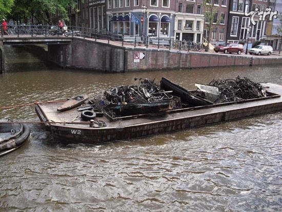 صید دوچرخه در کانال آب های آمستردام!