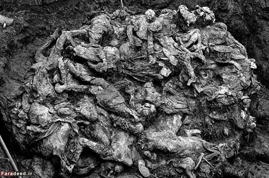 کشتار و آوارگی مسلمانان بوسنی +عکس