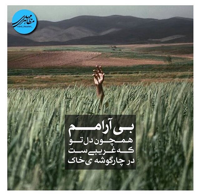 مینی شعر (430)