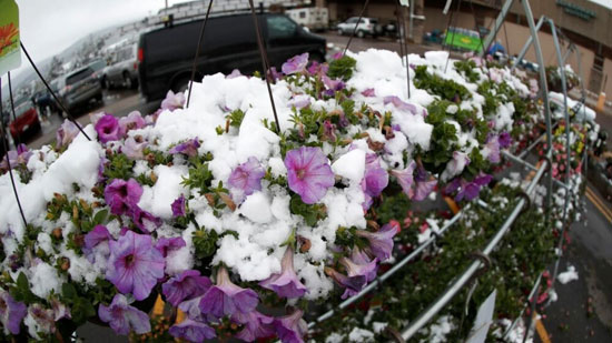 بارش برف بهاری در آمریکا‎