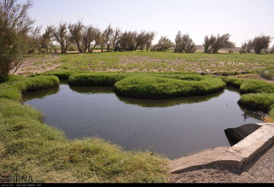 آبیاری زمین با آب فاضلاب در سیستان