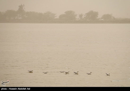 گرد و خاک در استان خوزستان