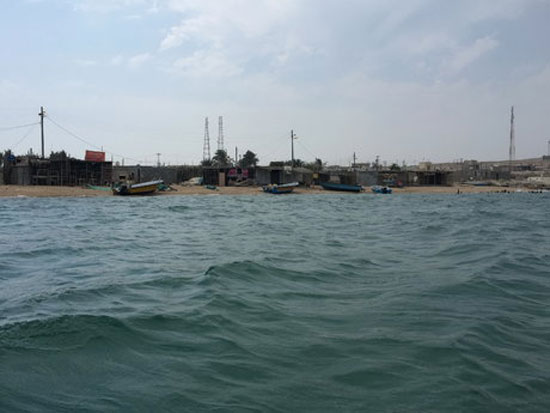 پری‌های دریایی در 43 مایلی آب‌های ایران