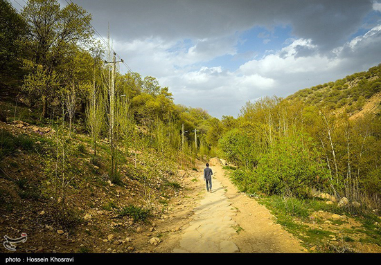 بهشت گمشده در شیراز