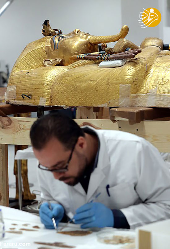 تصاویر تابوت طلایی فرعون