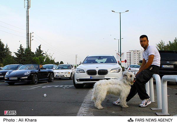 عکس: گذر موقت اشراف زادگان در تهران