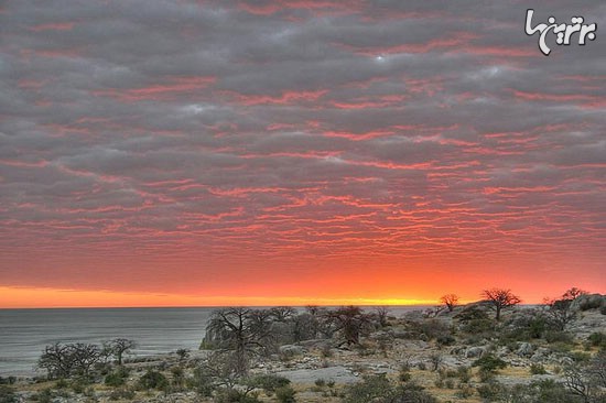 زیباترین مکان های آفریقا در بوتسوانا