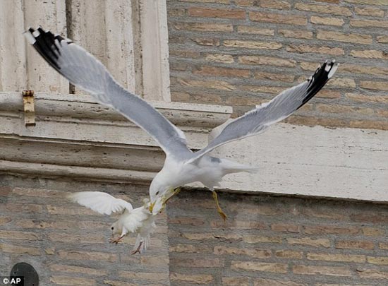 پرندگان آزادی «پاپ» شکار شدند! +عکس