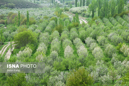 بهشت اردیبهشت ارومیه