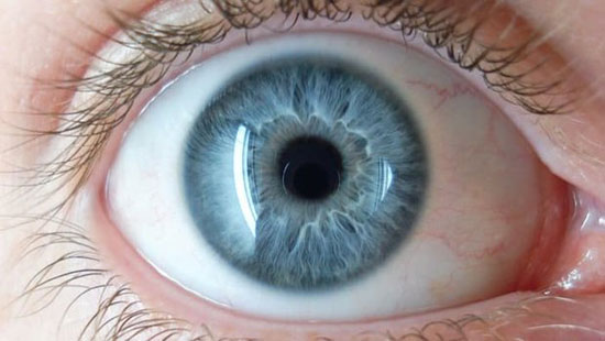 تشخیص اوتیسم با تمرکز بر روی چشم‌